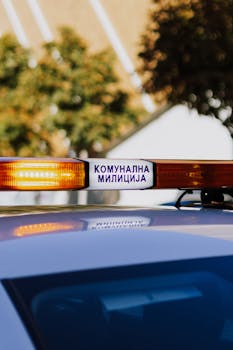 零跑汽车首度盈利达成，技术自研与全球化双轮驱动；经营指标全面向好。