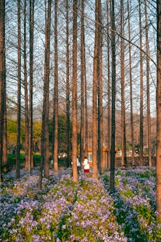 多位江苏干部拟获重用；公示名单涵盖省市县企校各领域。 新闻 多位江苏干部拟获重用；公示名单涵盖省市县企校各领域。 新闻