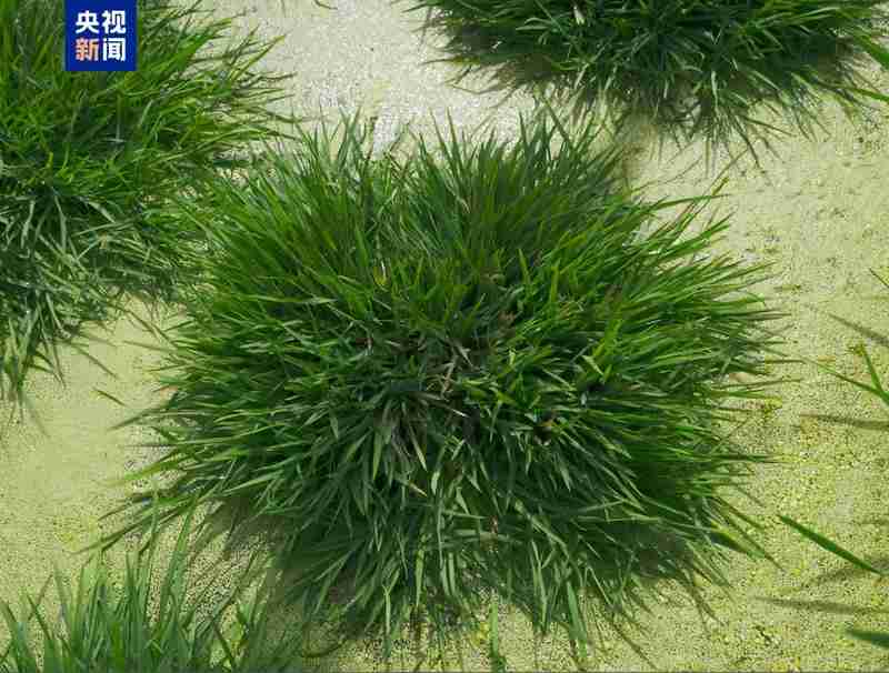  从深蓝到绿野；能源矿产齐发力；健康农业双丰收。 健康养生