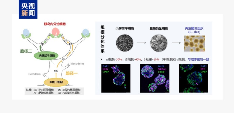  从深蓝到绿野；能源矿产齐发力；健康农业双丰收。 健康养生