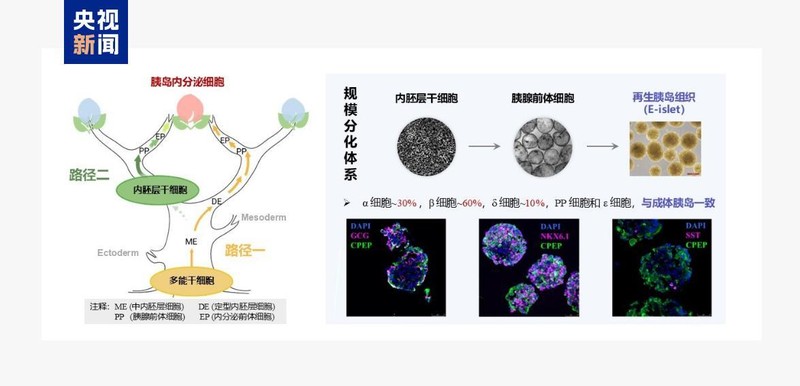  从深蓝到绿野；能源矿产齐发力；健康农业双丰收。 健康养生