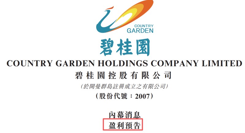  曾经头部房企碧桂园；通过重组实现账面转盈；未来发展仍需稳健推进。 房产家居