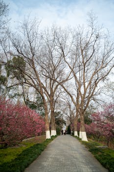 资本外逃背后的逻辑：地缘冲突与印度市场脆弱性的共振