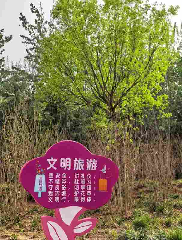  精细化管理赋能文明赏花：邢台园林部门如何以制度化思维打造城市花季名片 新闻