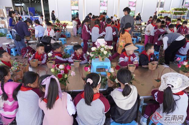 技术破局:丽江四季花开景区如何用1600万粒籽球撬动农文旅融合新模式 文化旅游