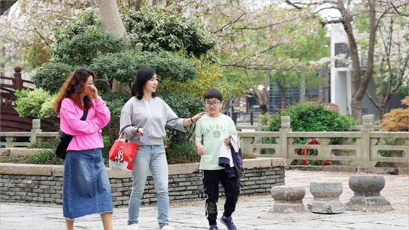  【深度解析】广富林遗址樱花季：古建空间美学与花卉景观的设计逻辑 文化旅游