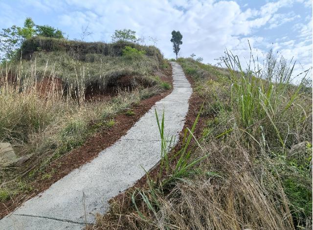  「3221」工程解码：五垭子社区基层治理的精准化路径 房产家居