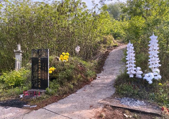  「3221」工程解码：五垭子社区基层治理的精准化路径 房产家居