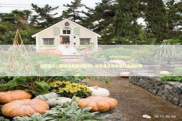 你还在担心聊天信息被窃取吗？加密通讯策略值得尝试分享 新闻