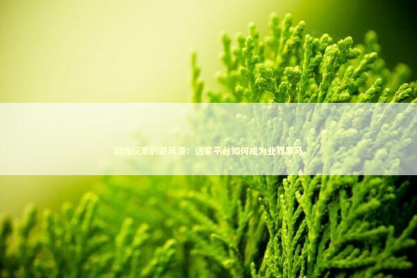 游戏玩家的避风港：这家平台如何成为业界黑马