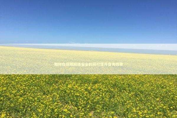如何在保障网络安全的同时提升业务效率 IT技术