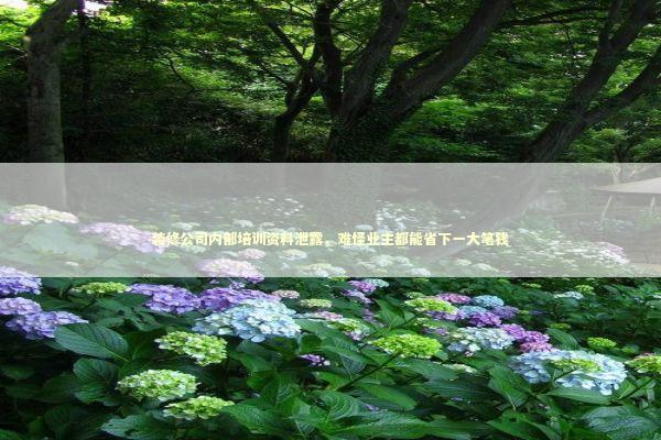 装修公司内部培训资料泄露，难怪业主都能省下一大笔钱